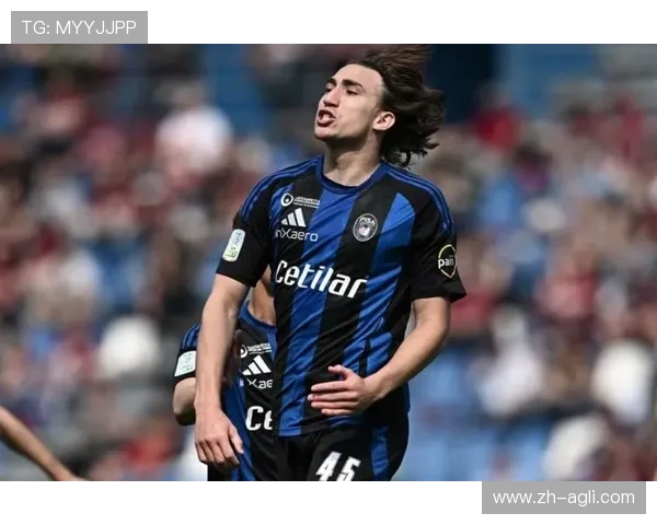 近三年降级意甲球队：近三年来降级的意甲球队名单与原因分析 (2)