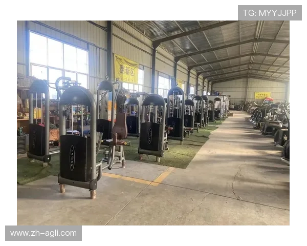 阳锐健身器材官网健身房专业设备配置方案