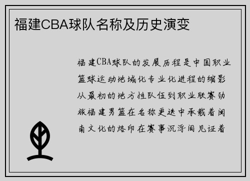 福建CBA球队名称及历史演变